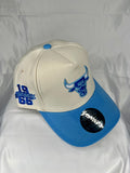 Chicago Bulls NBA New Era 9Forty Snapback White and Blue 1966 patch - White & Blue Edition